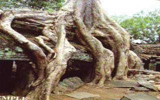  Angkor 