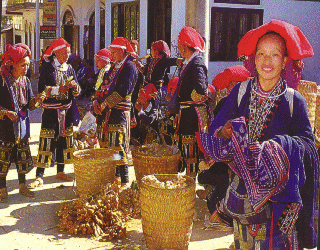 Red Dzaos