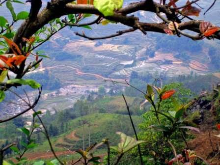 Lao Chai Valley