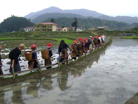 Walking in the village