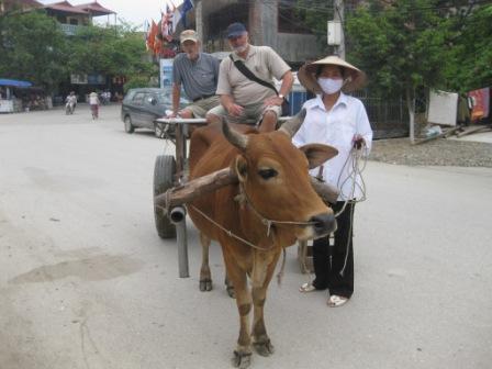 At the turn of a buffalo car 