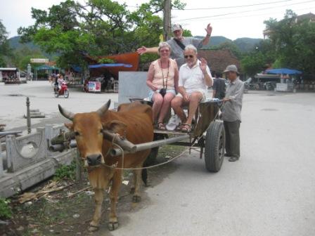 Buffalo safari