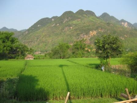 Mai Chau